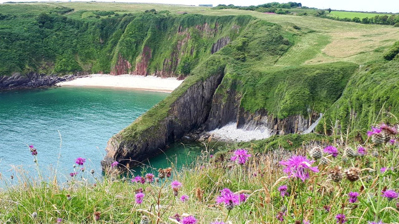 A Beach Holiday In Pembrokeshire Esterno foto